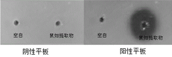 Pillbug extract and application thereof