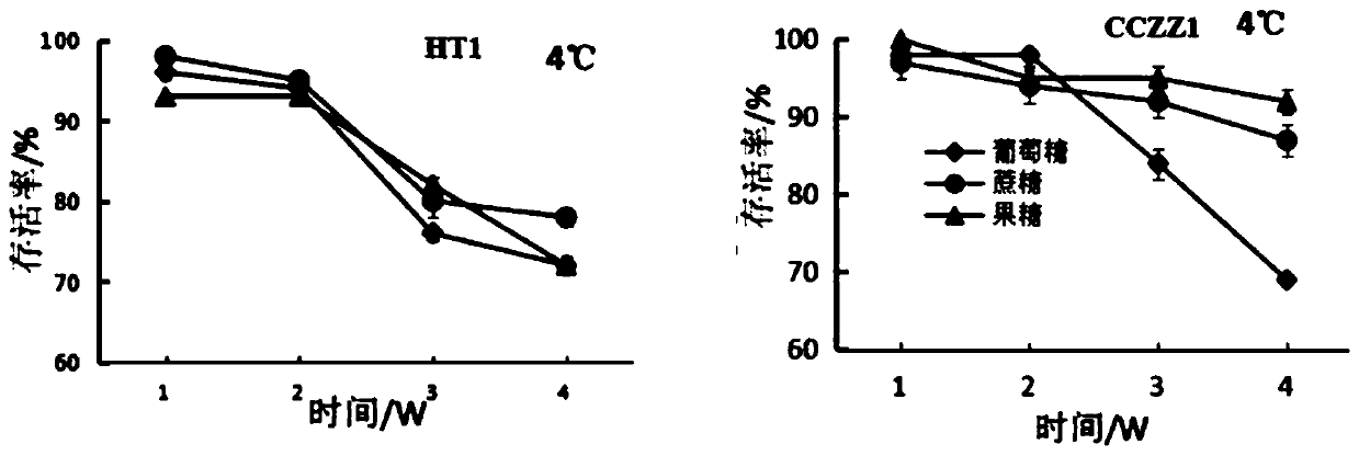 Medium capable of improving survival rate of lactic acid bacteria during preservation and application thereof