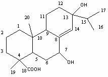 Preparation method of active abietic acid derivatives through biological conversion of rosin