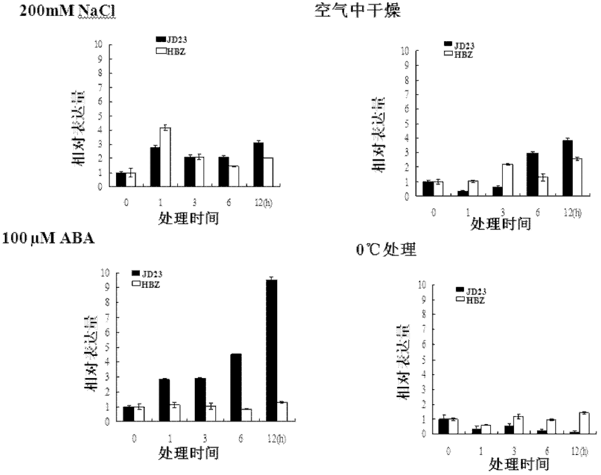 Soybean transcription active protein GmPHD6, and coding gene and application thereof