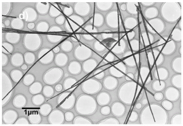 Preparation method of one-dimensional magnetic nanowire array with ultrahigh axial remanence ratio