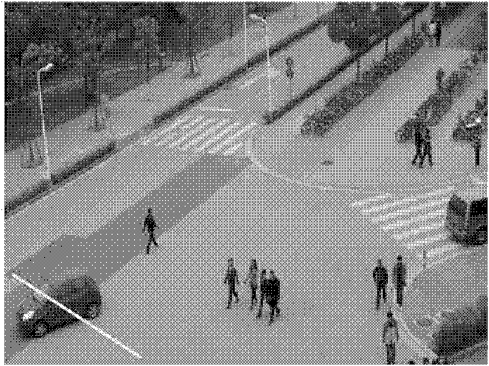 Method for counting pedestrians and vehicles based on virtual gate