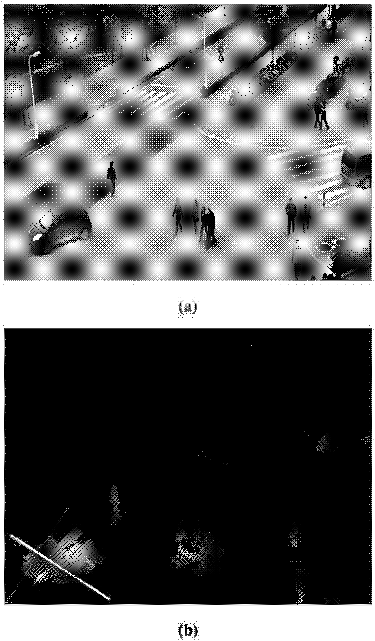 Method for counting pedestrians and vehicles based on virtual gate