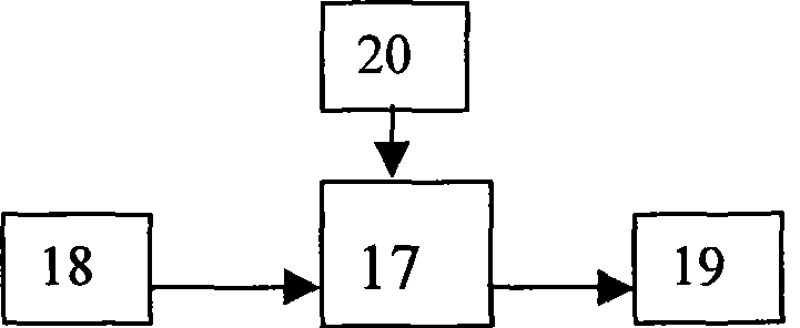 Automatic male and female sorting apparatus for cocoons judged by fluorescence color