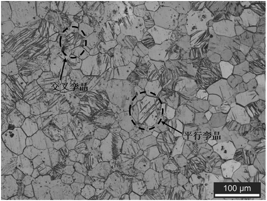 A deformed magnesium alloy plate with good strength and plasticity matching and its preparation method