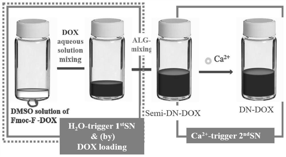 High-concentration loading gel of adriamycin medicine and preparation method of high-concentration loading gel