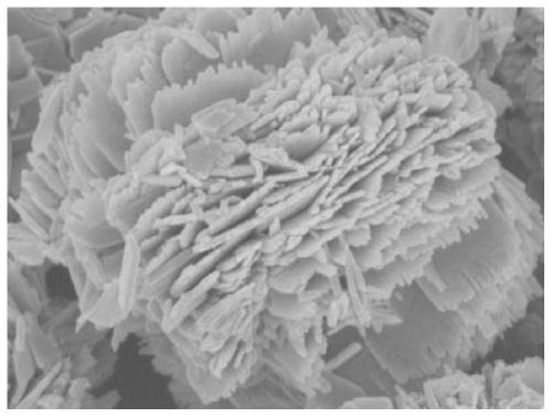 Nano flower-shaped ZnO photocatalyst, preparation method and application thereof