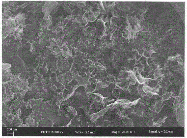 Application and preparation method of biomass-based nitrogen-doped porous carbon