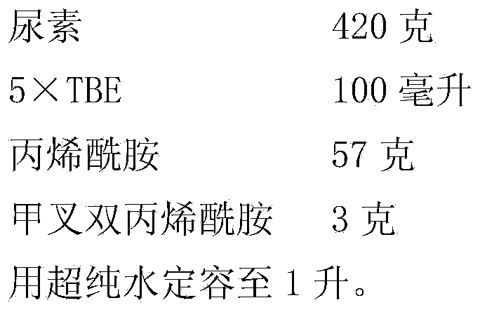 Molecular marker GmSSR18-40 in close linkage with soybean rust resistance gene locus as well as application thereof