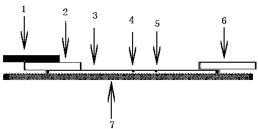 A kind of immunochromatographic reagent composition and detection method for canine coronavirus