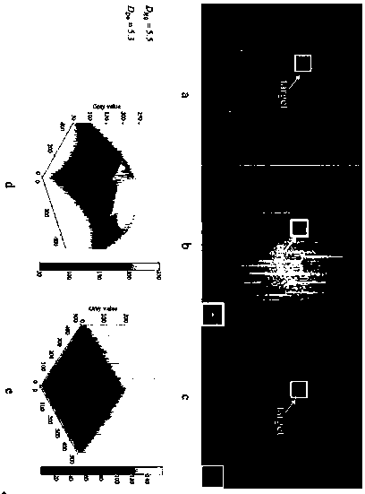 Superposition image preprocessing method based on principal direction restraining high-pass filter