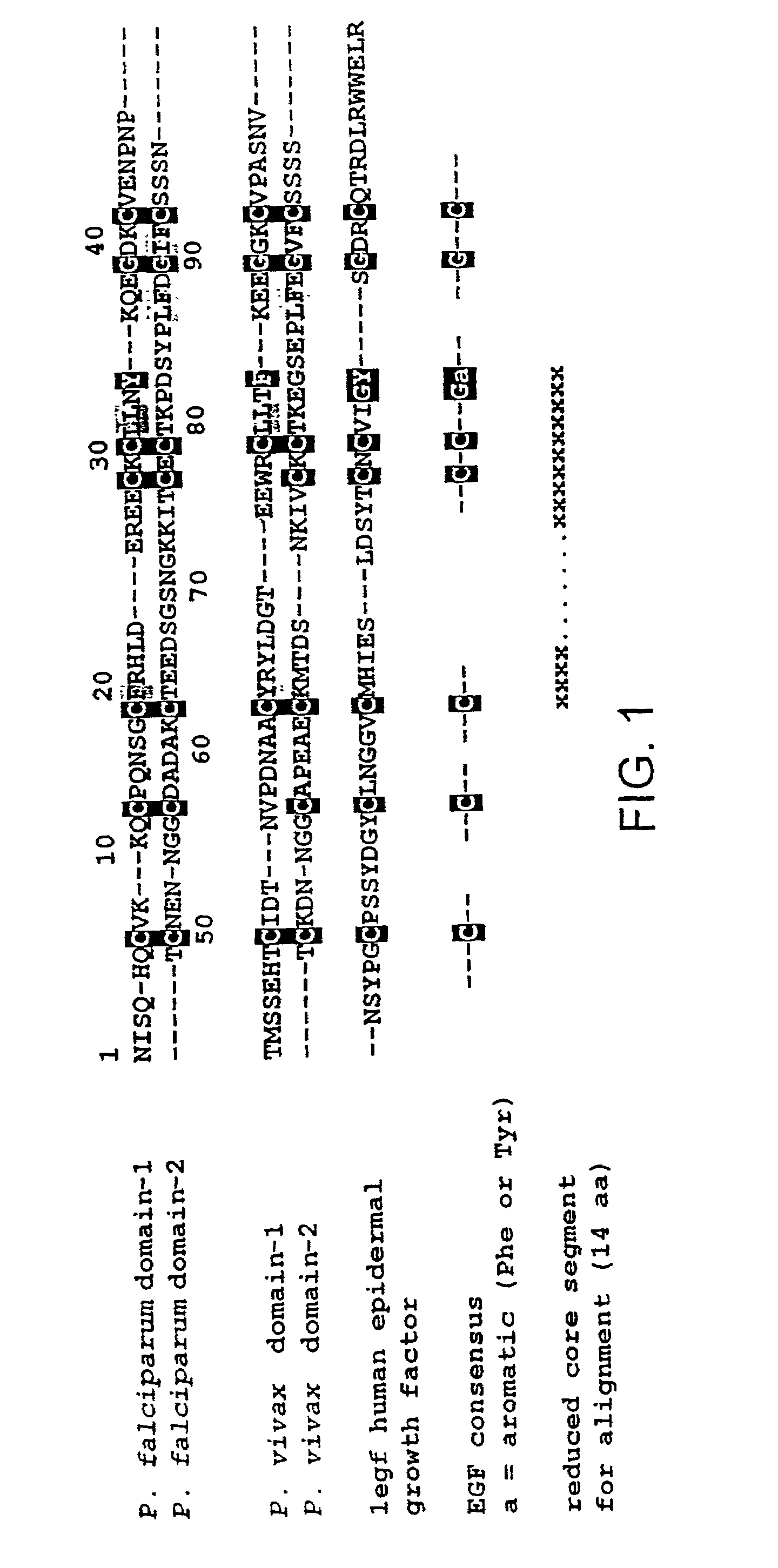 Malaria vaccine