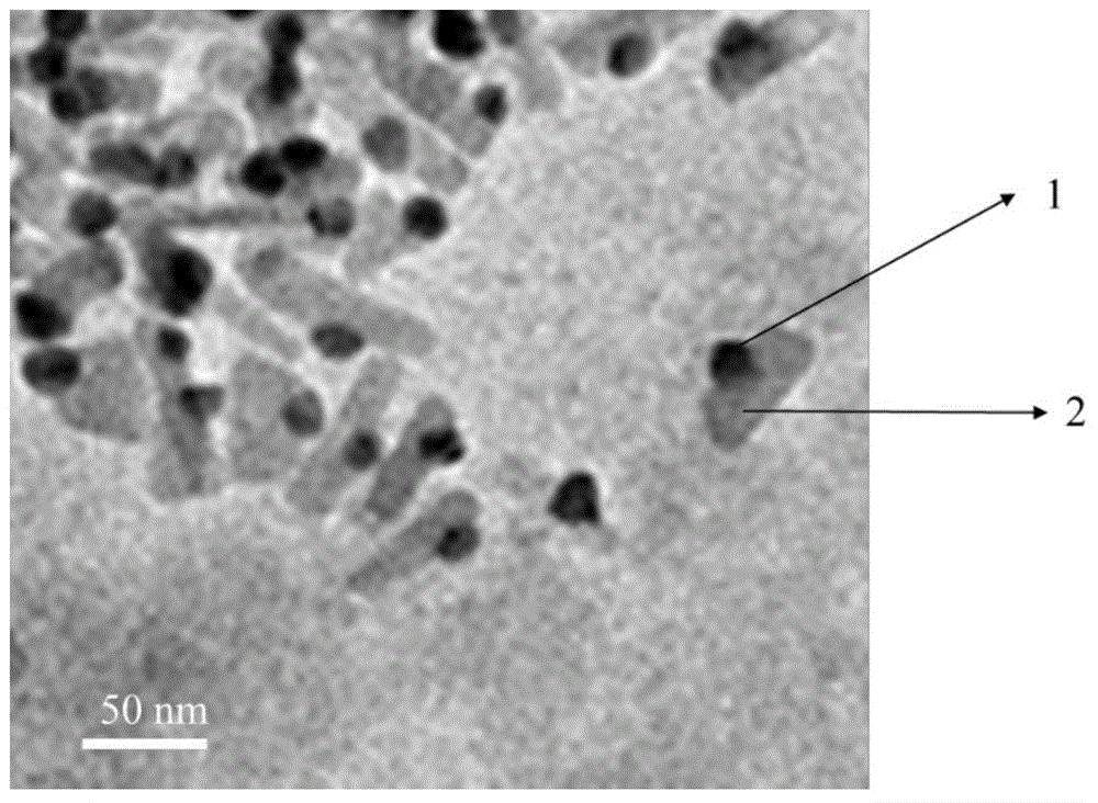 Gold nano-particle-bismuthous sulfide heterojunction nanometer photocatalysis material, preparation method thereof and application of gold nano-particle-bismuthous sulfide heterojunction nanometer photocatalysis material in degrading of pollutants