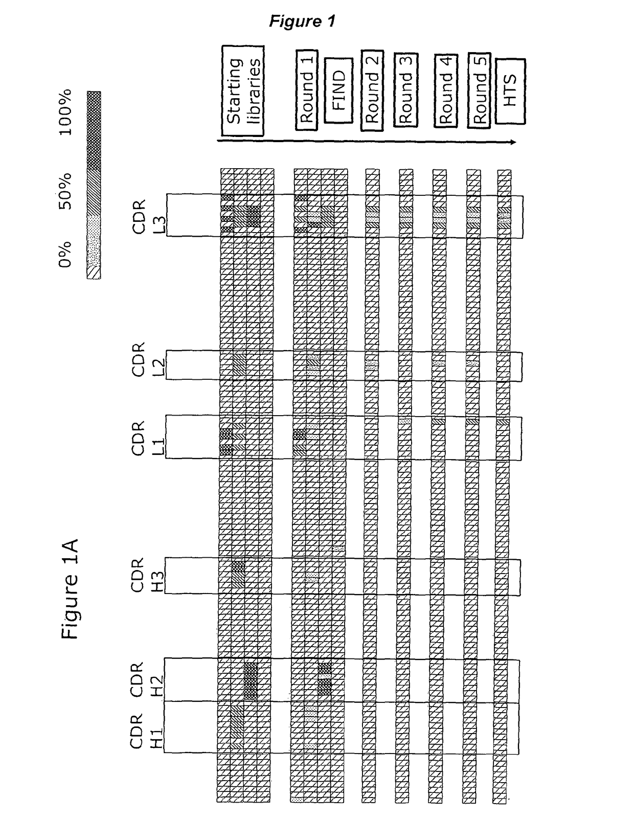 Anti-CD40 antibodies and methods of treating cancer
