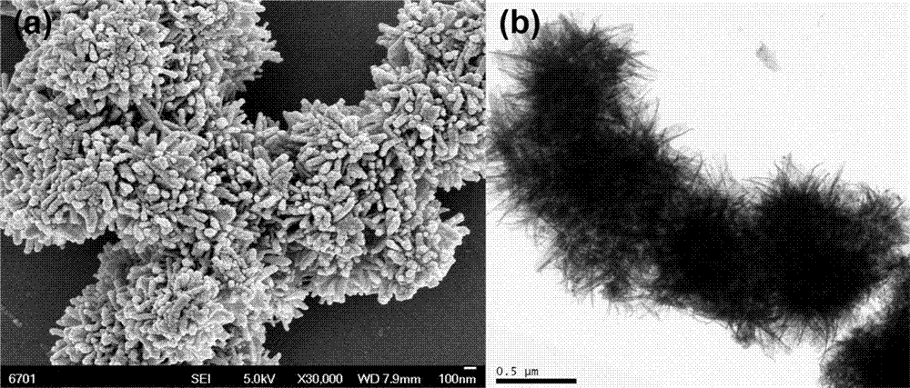 Preparation method of a universal superamphiphobic nanocoating based on flower-like titanium dioxide nanoparticles