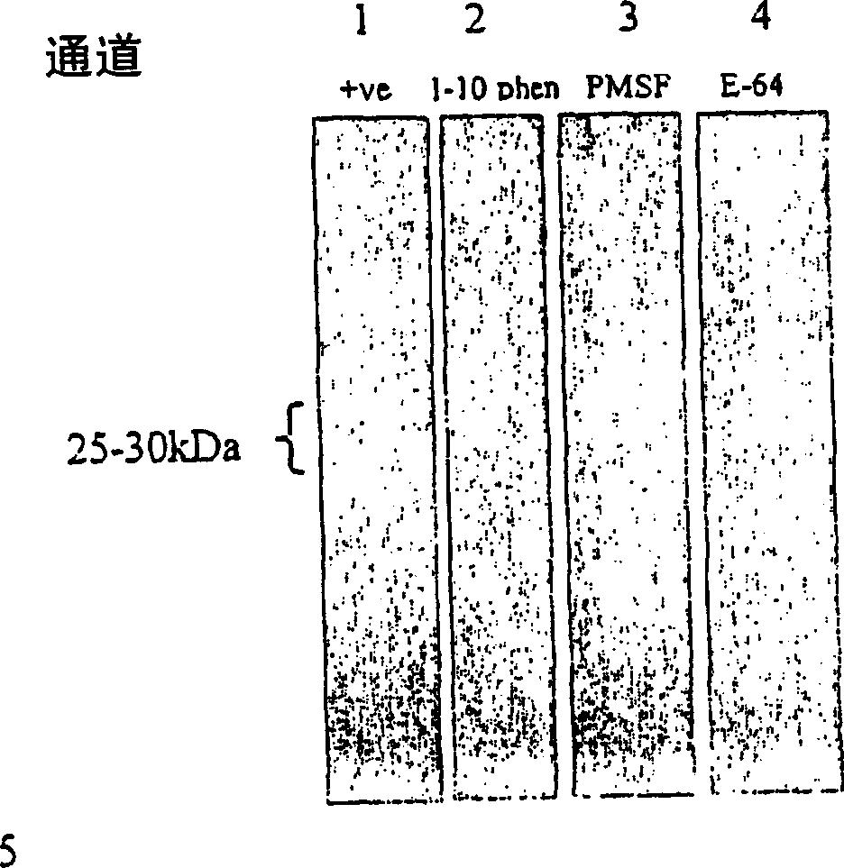 Methods and compositions for controlling ectoparasites