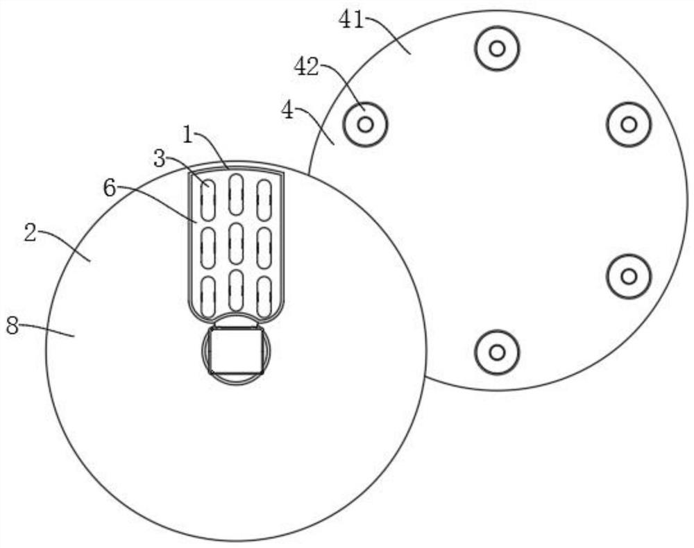 Exocarpium citri rubrum and eriobotrya japonica capsule separating device