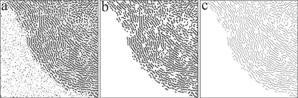 A method to quantify the length of coal lattice stripes based on hrtem