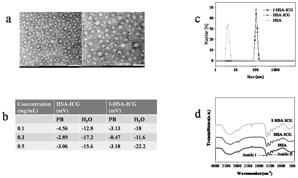 &lt; 131 &gt; I-HSA-ICG nanoparticles as well as preparation method and application thereof