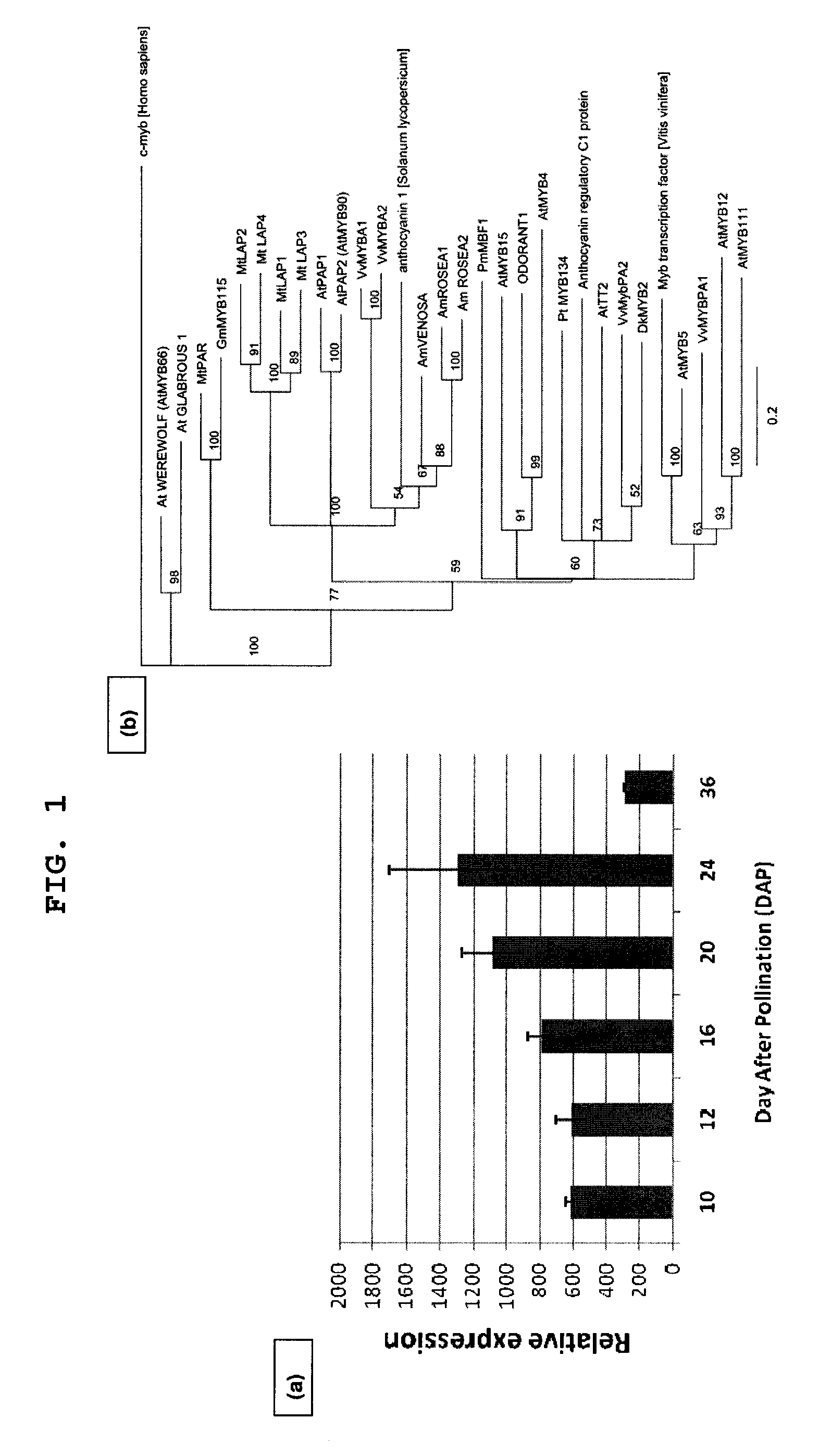 Methods and compositions for regulating production of proanthocyanidins