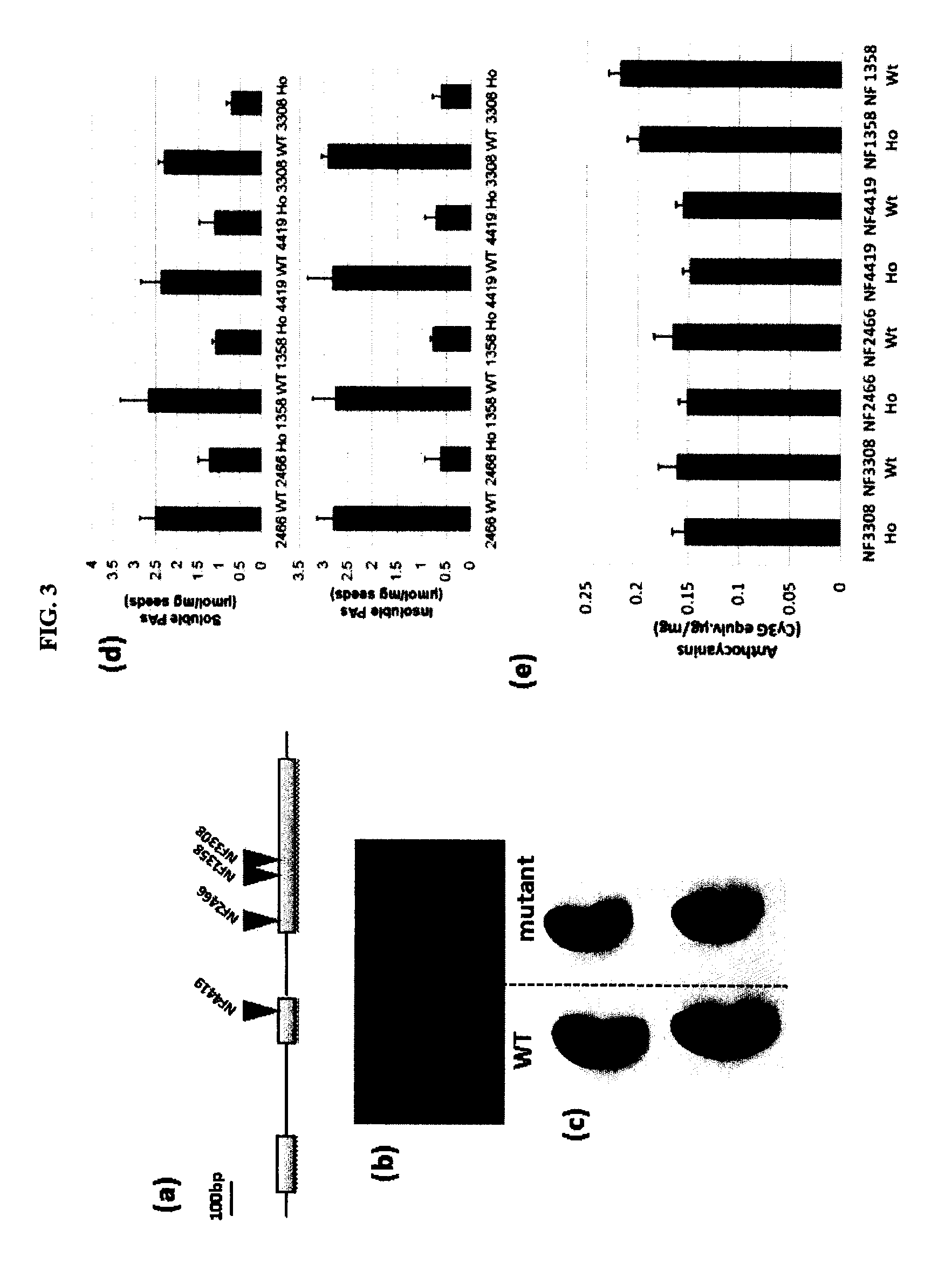 Methods and compositions for regulating production of proanthocyanidins