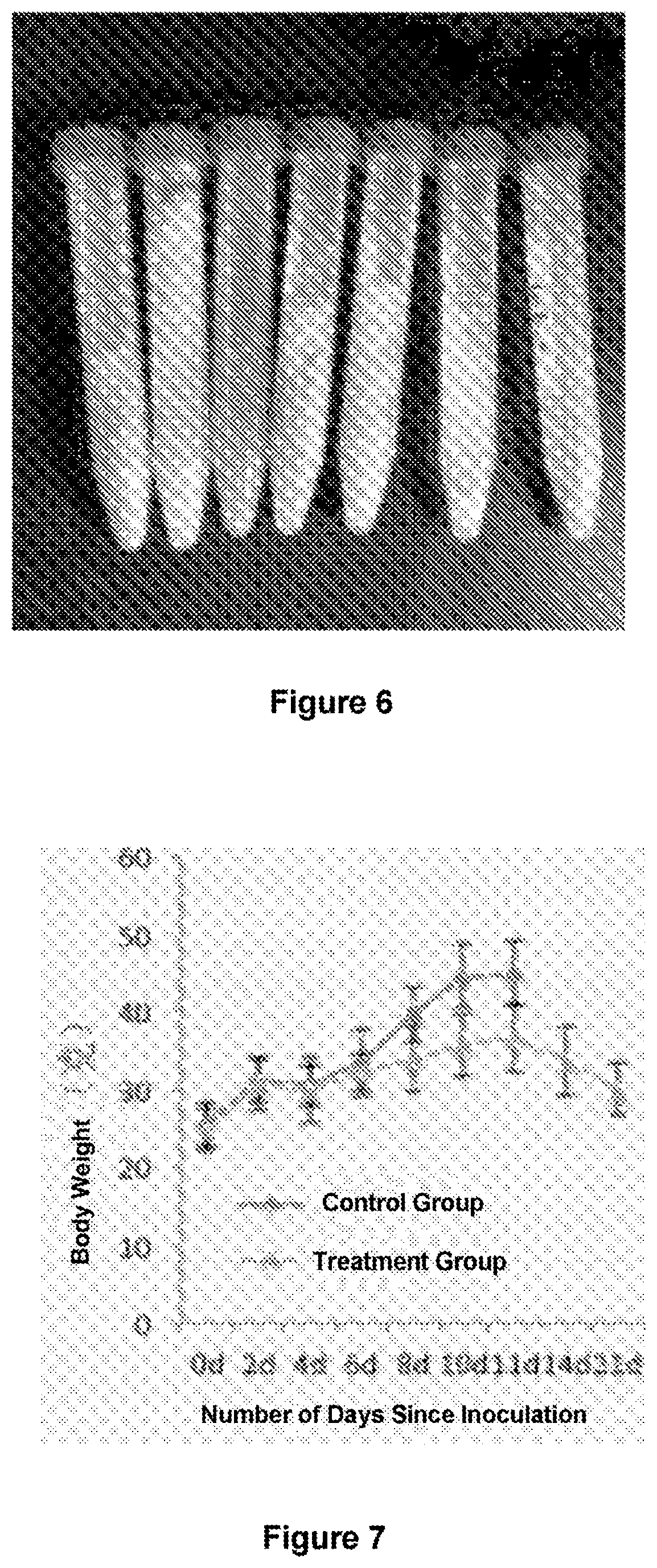 Method for treating pleuroperitoneal membrane cancers by locally injecting disulfiram preparation