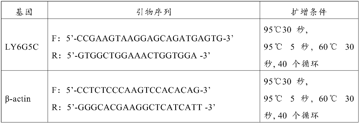 Application of LY6G5C gene as molecular marker for diagnosis of exposure to heavy ion radiation