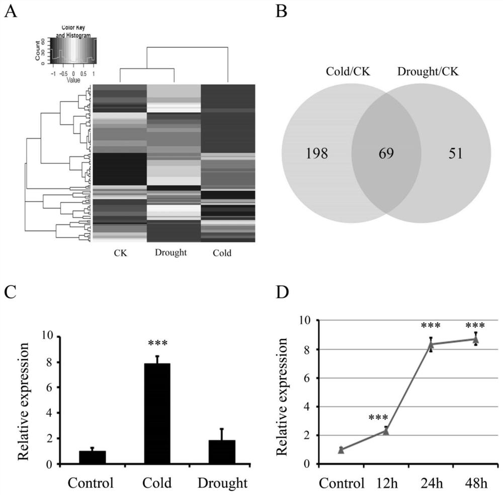 A kind of lncrna and its application