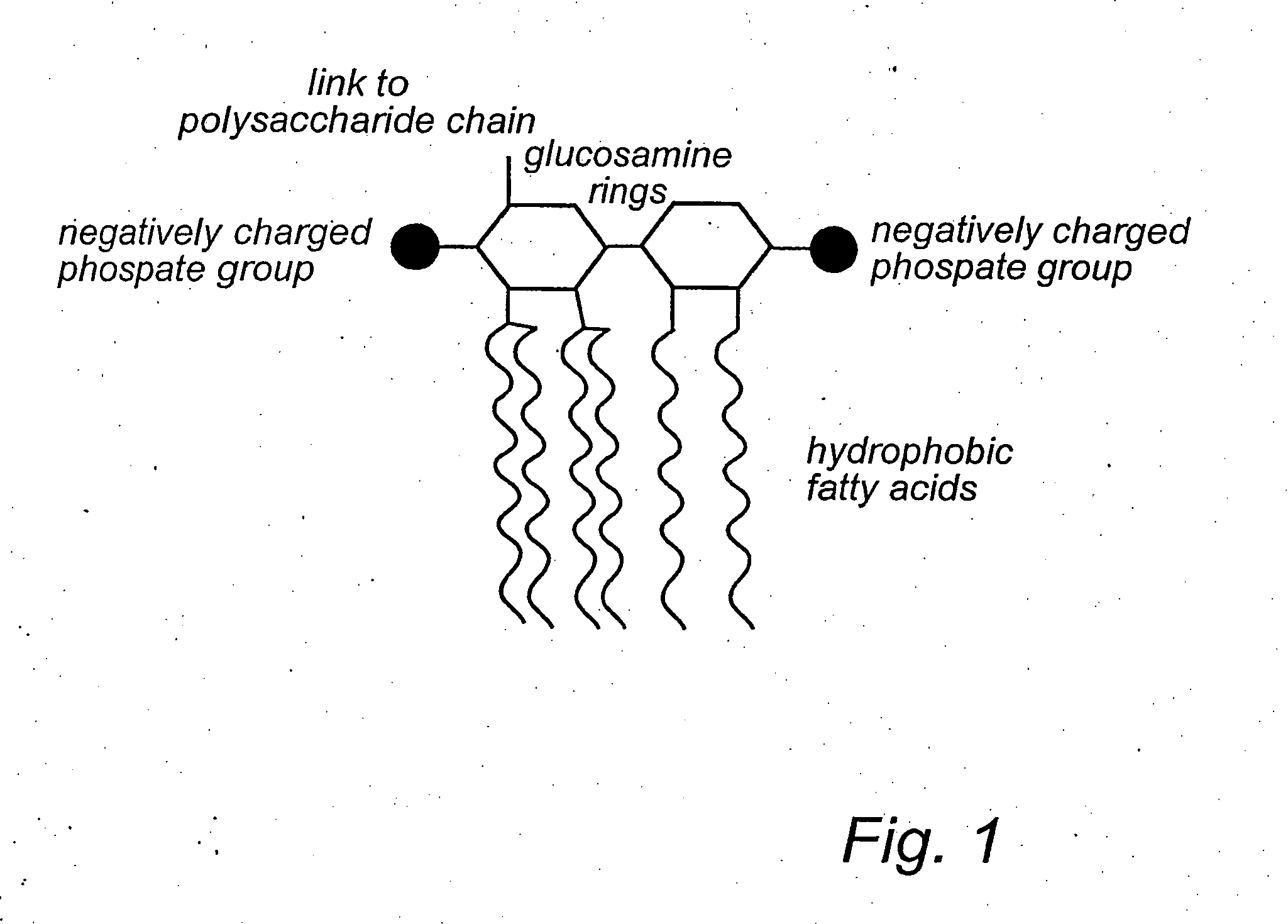 Polymer affinity matrix, a method for the production and use thereof