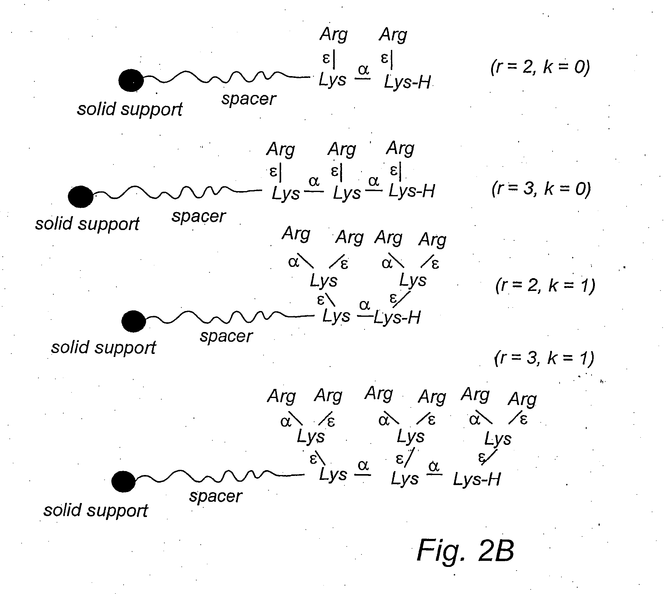 Polymer affinity matrix, a method for the production and use thereof