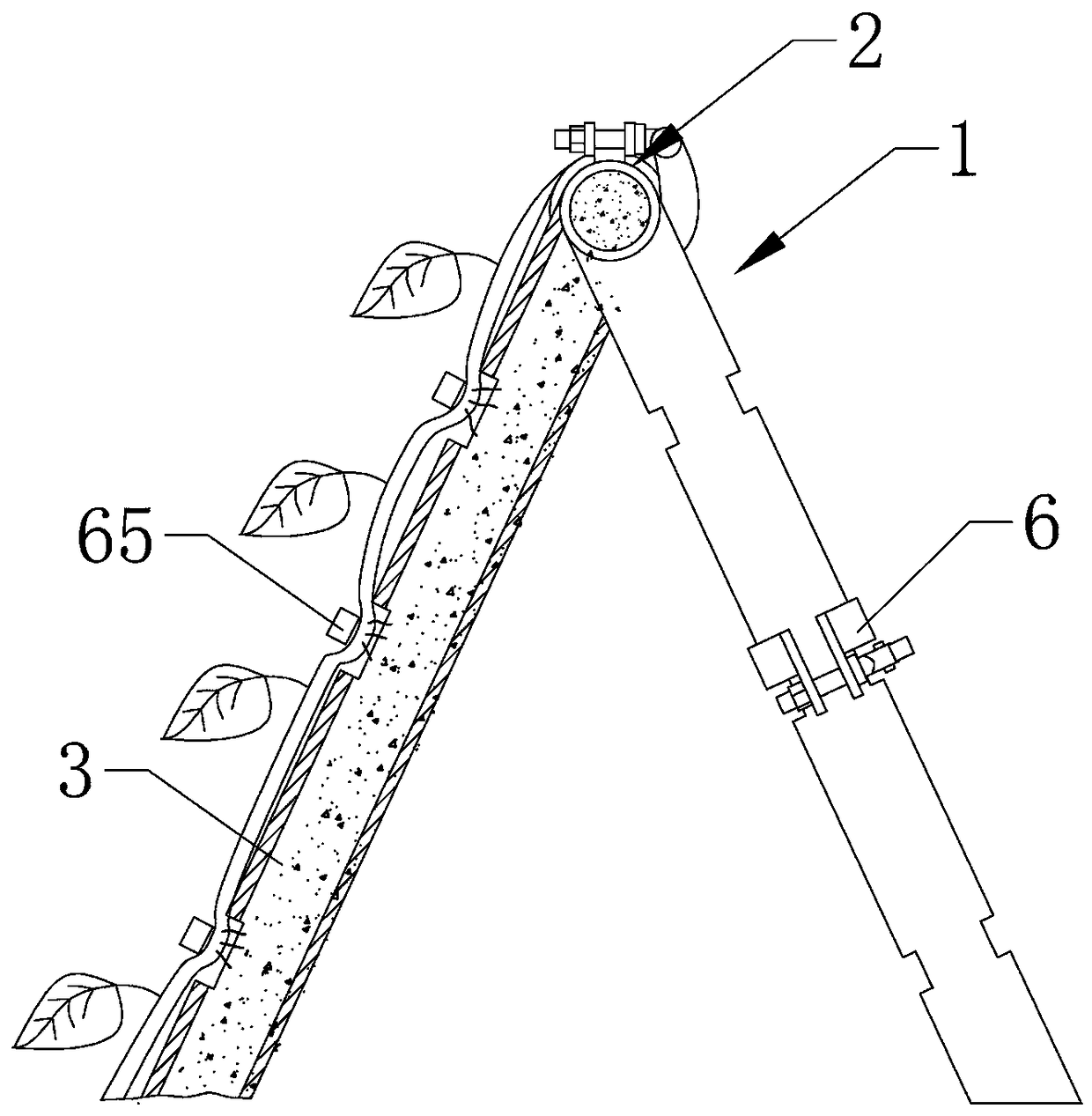 A pumpkin planting frame and pumpkin planting method