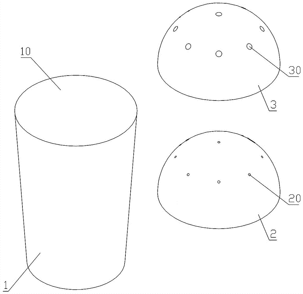 Parasitic wasp natural enemy release cup and parasitic wasp natural enemy sustained release method