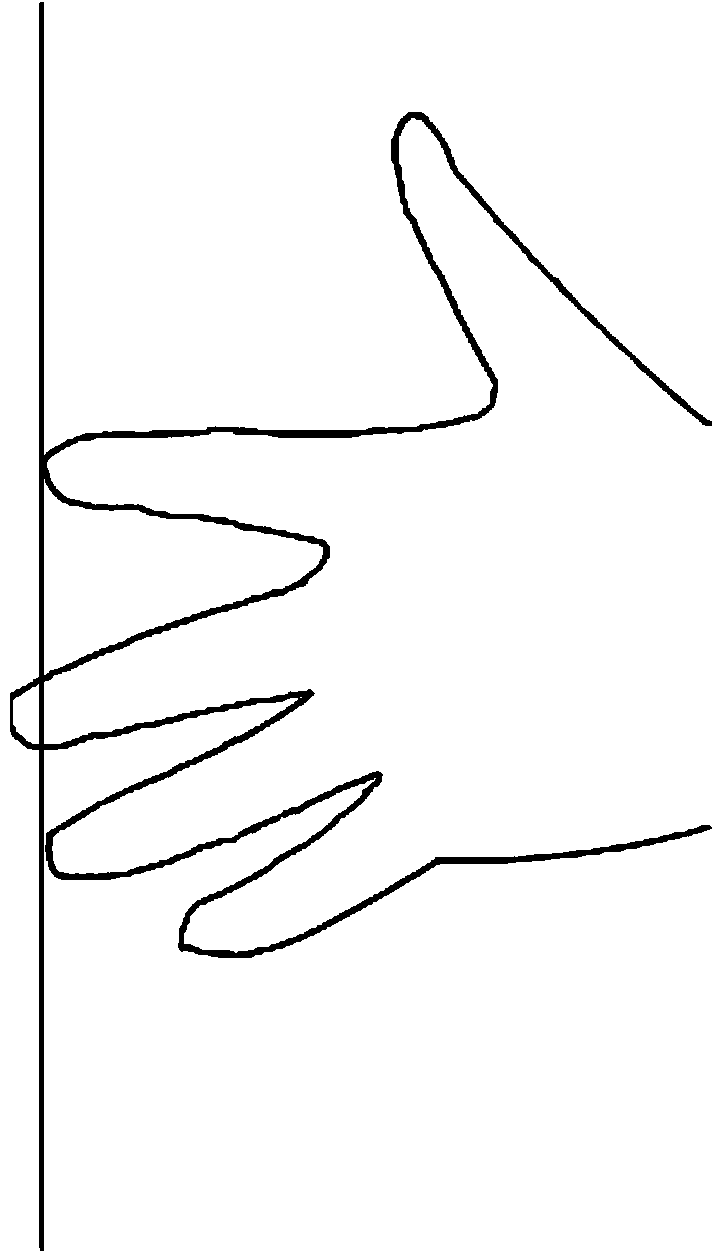 Rapid authentication method based on handshape and palmprint recognition
