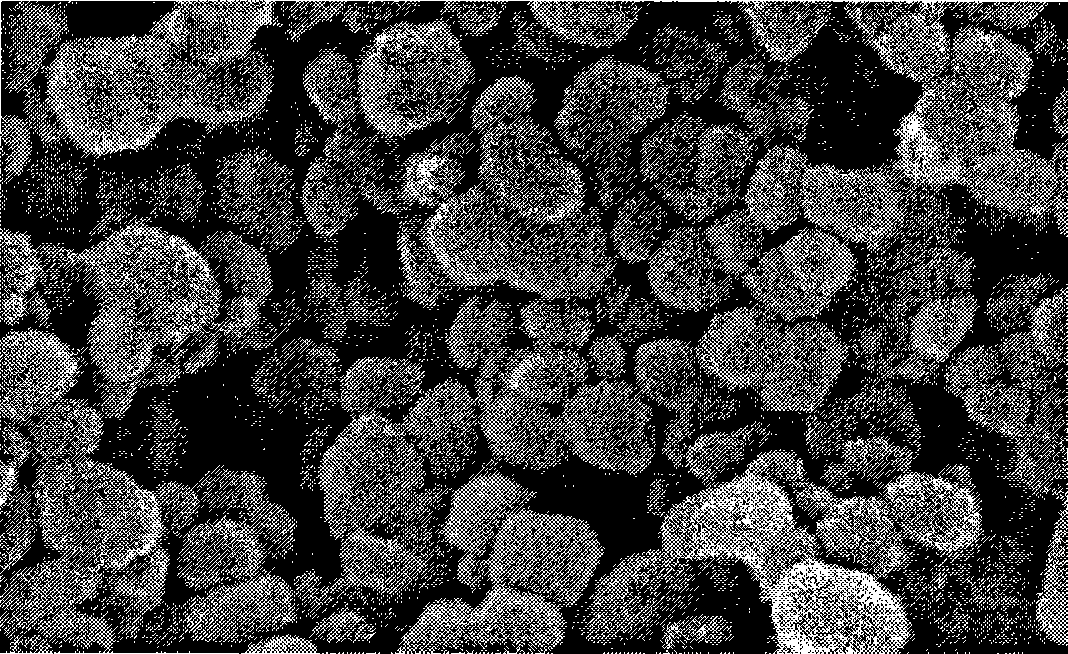 Titanium dioxide hydrolysis particle whitening agent and preparation method of titanium dioxide hydrolysis crystal seed