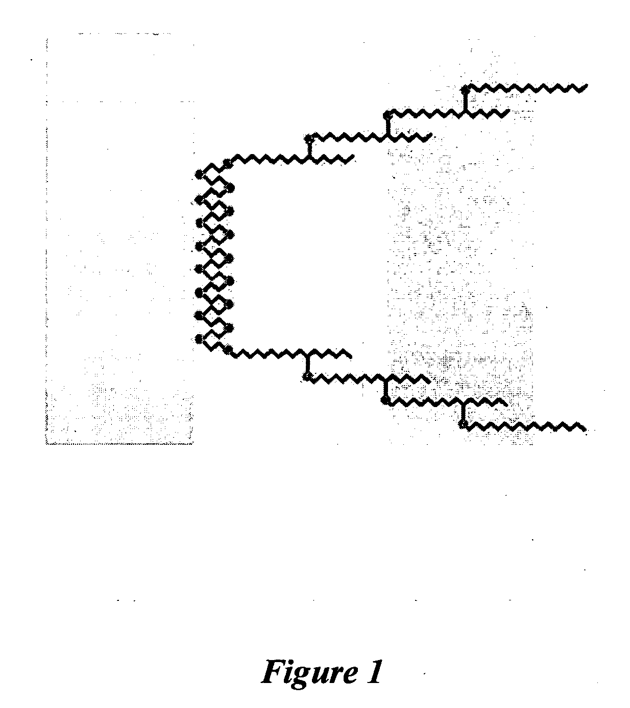 Storage stable compositions of biological materials