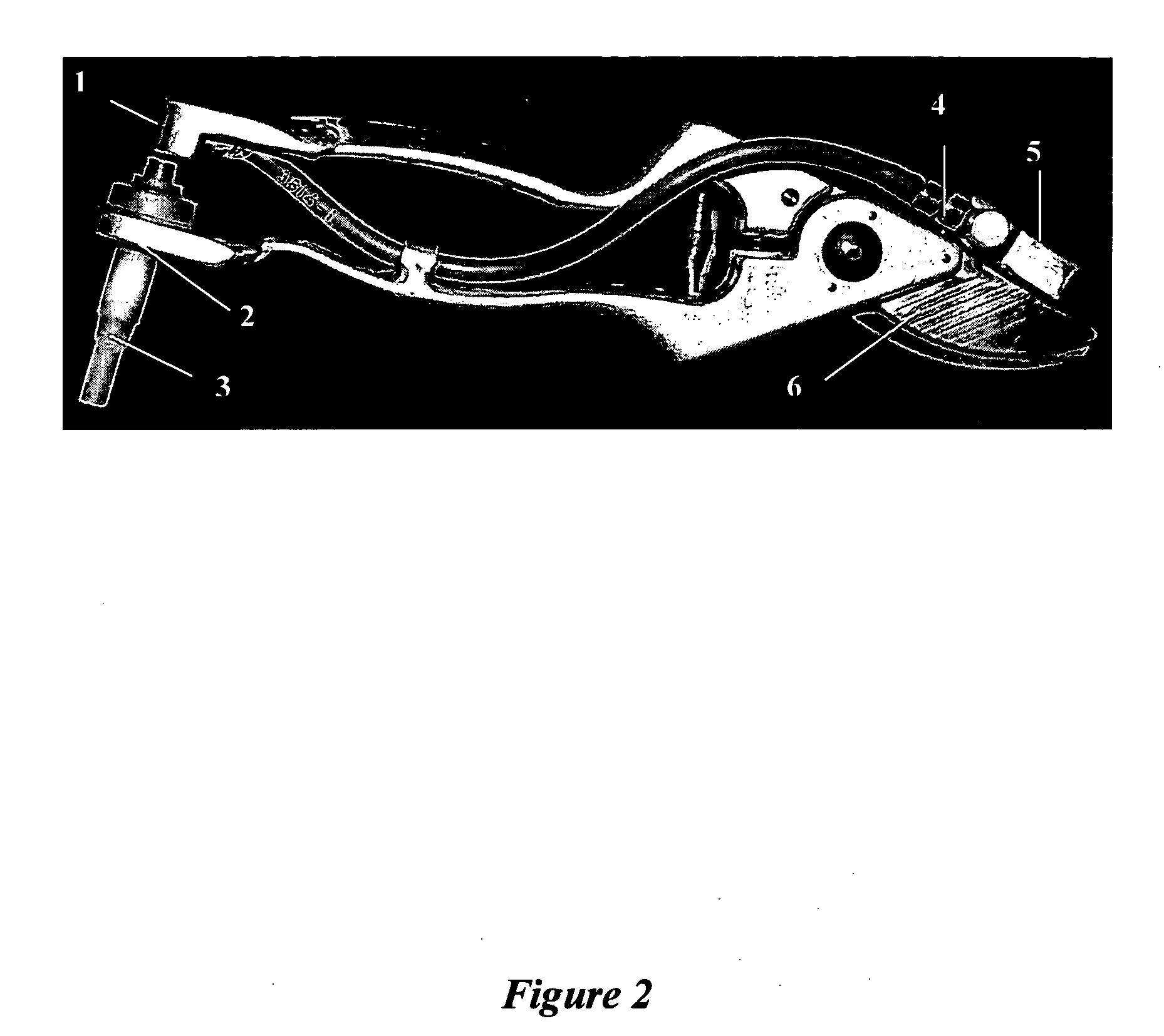 Storage stable compositions of biological materials