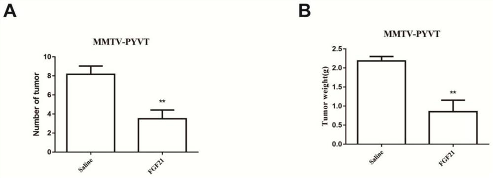 Novel FGF analogue for treating breast cancer and application thereof