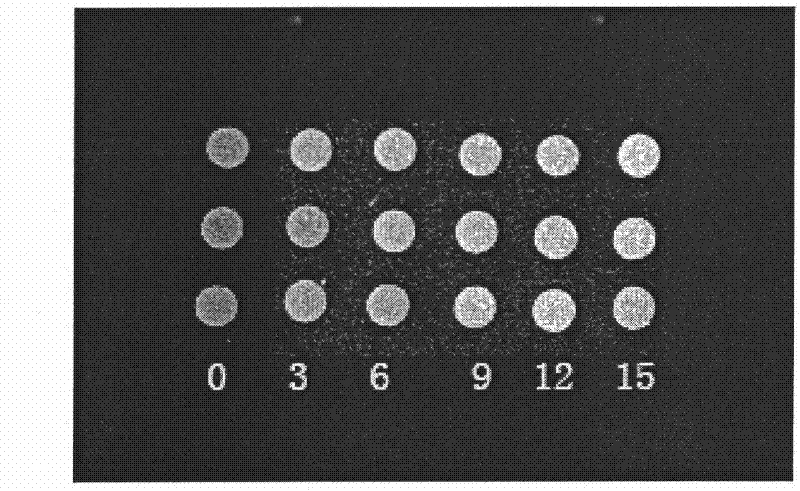 X-ray developing calcium phosphate cement and preparation method and application thereof