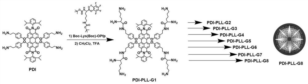 A kind of fluorescent polylysine dendrimer, its preparation method and application