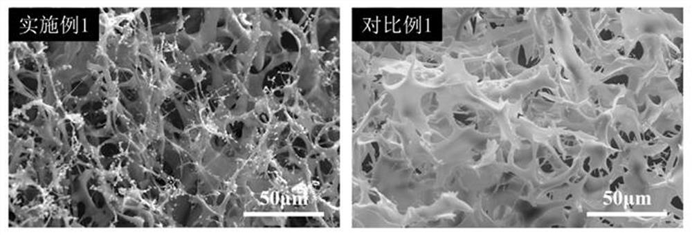 Boron nitride/pea meal double-heat-conduction-base carbon aerogel as well as preparation method and application thereof