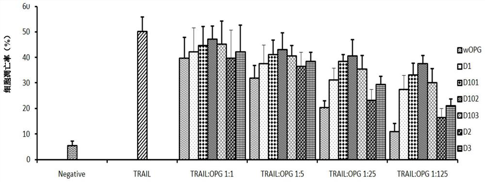 Mutant protein of osteoprotegerin and related products and applications