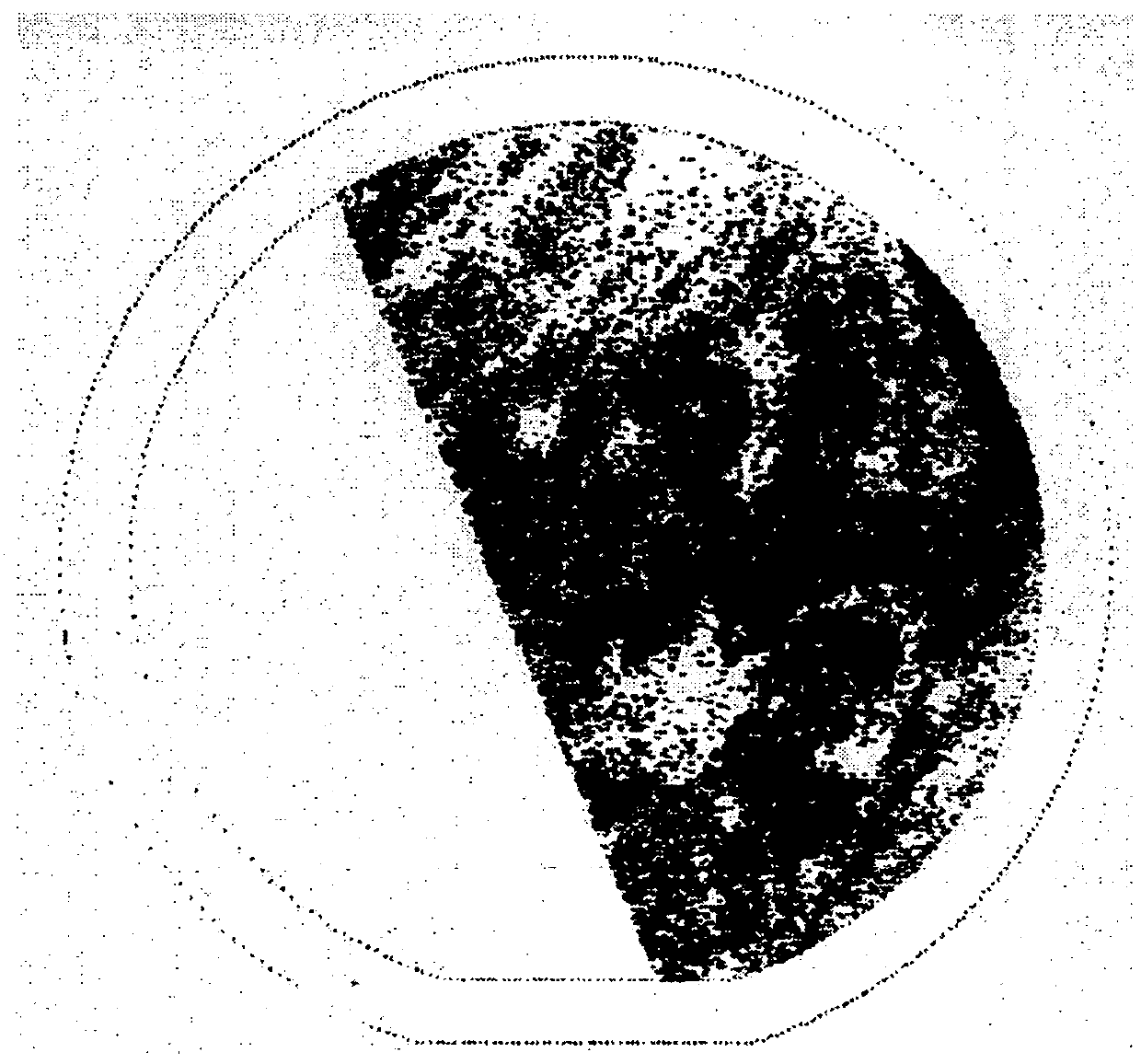 Varnish containing good solvent and poor solvent