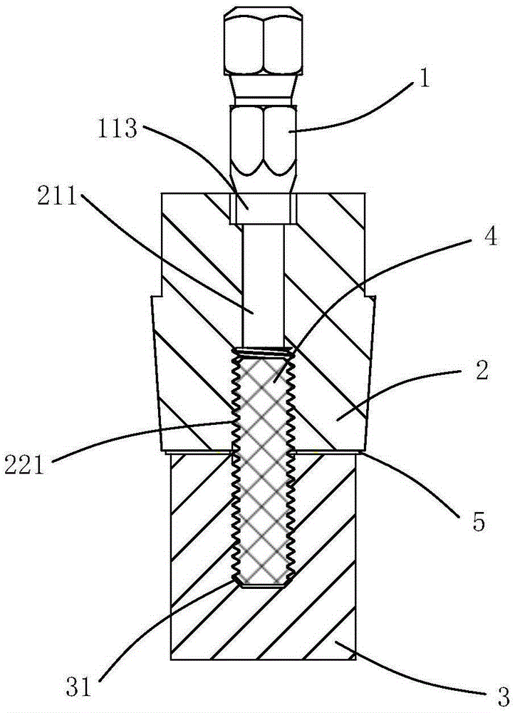 Sacrificial anode structure and method for checking corrosion state of sacrificial anode structure