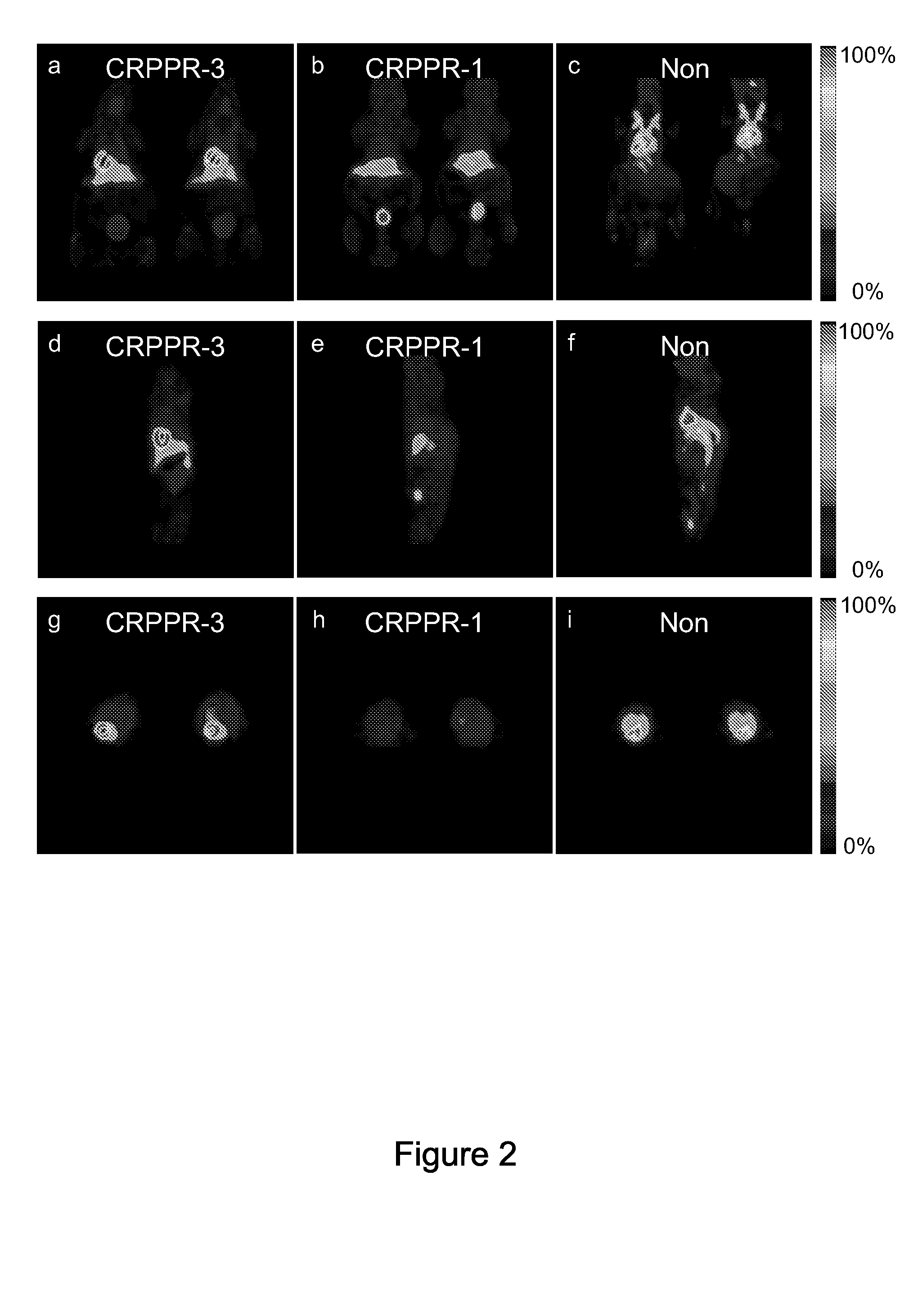 Methods And Compounds For Targeting Tissues