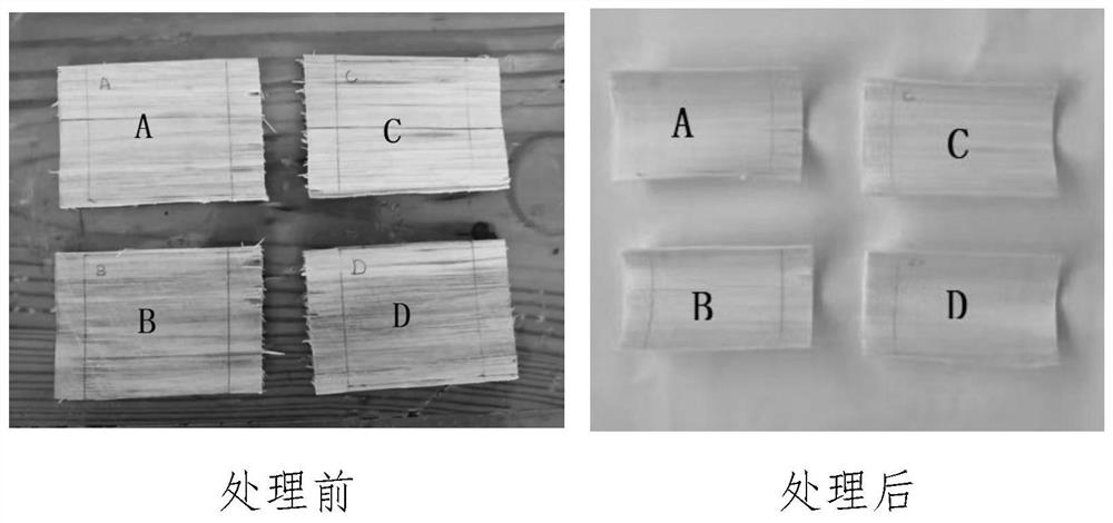 Treatment method for adjusting color difference of wood veneer