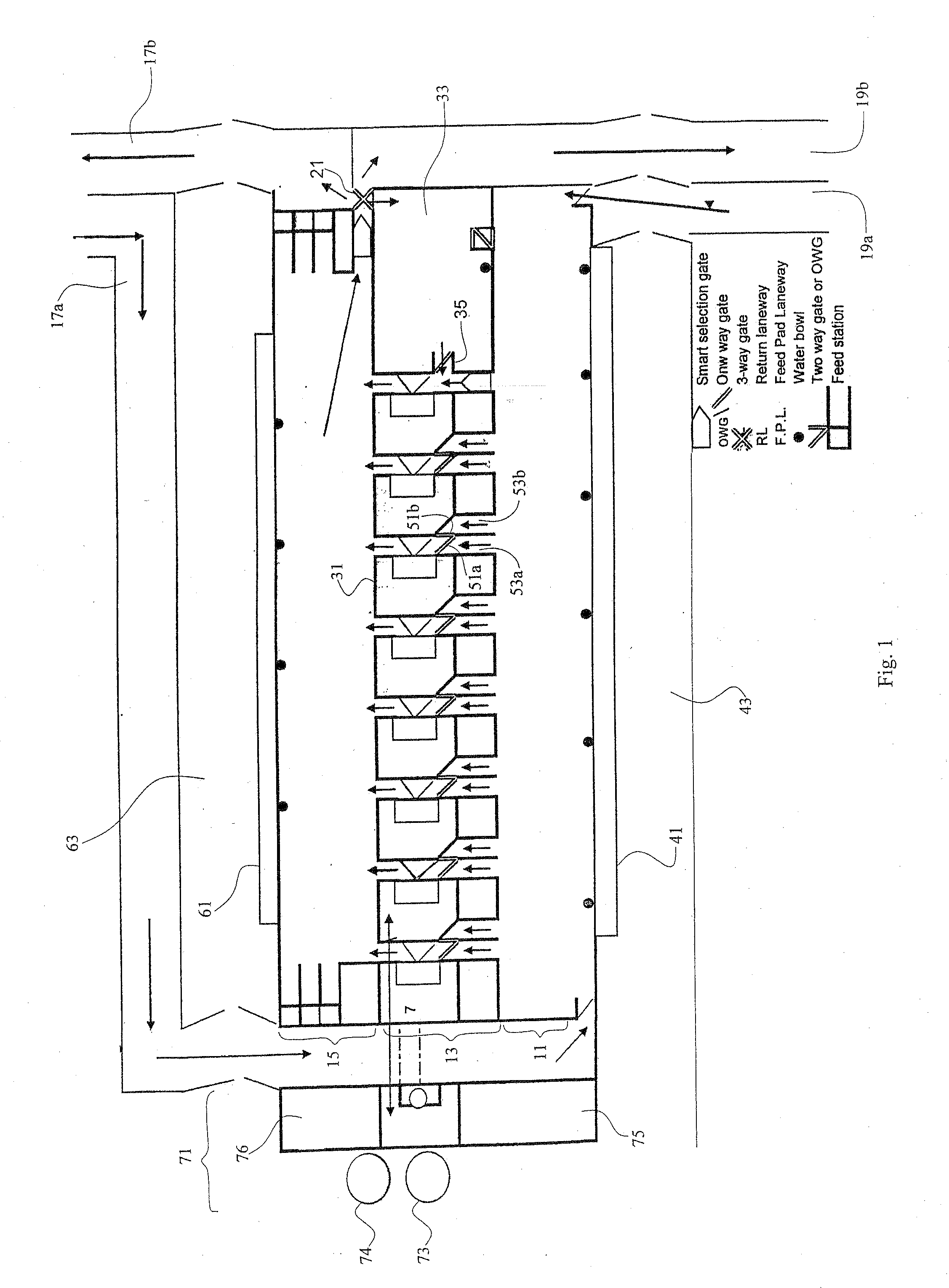 Milking facility and method for milking therein