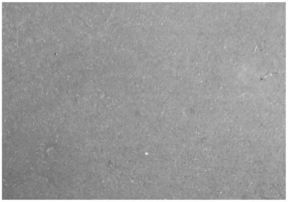 High temperature resistant protective coating for titanium and its application and production method of titanium ingot