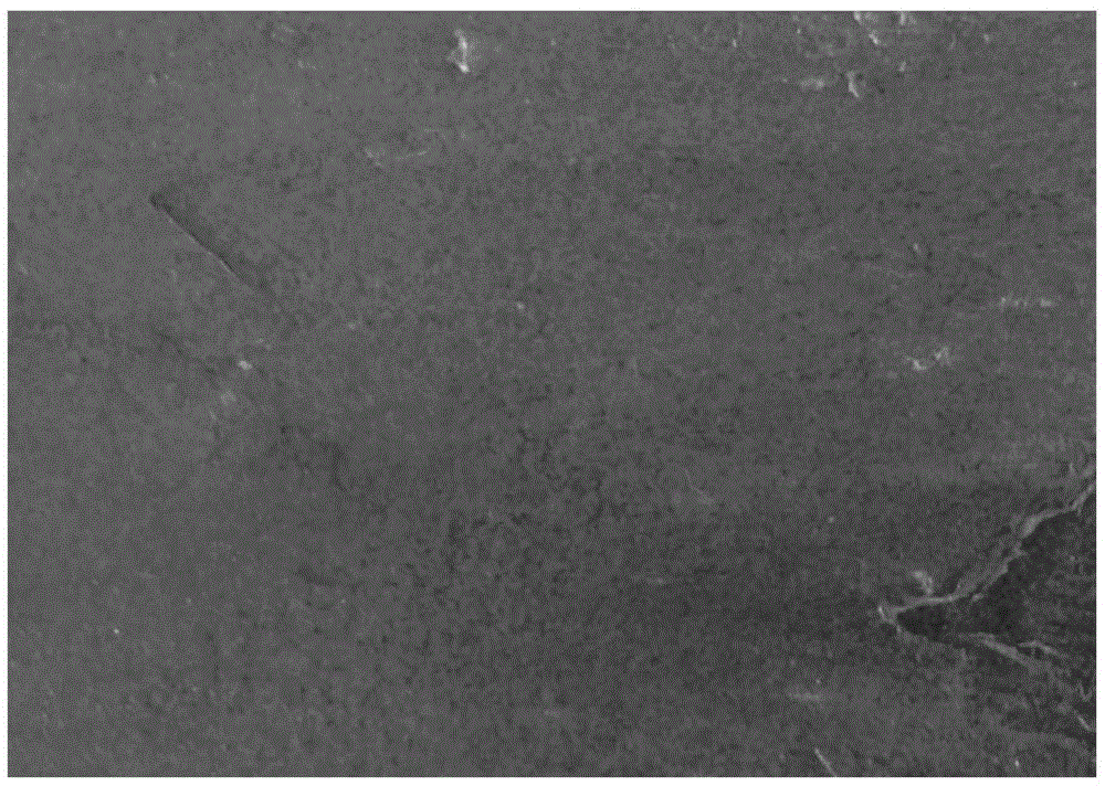 High temperature resistant protective coating for titanium and its application and production method of titanium ingot