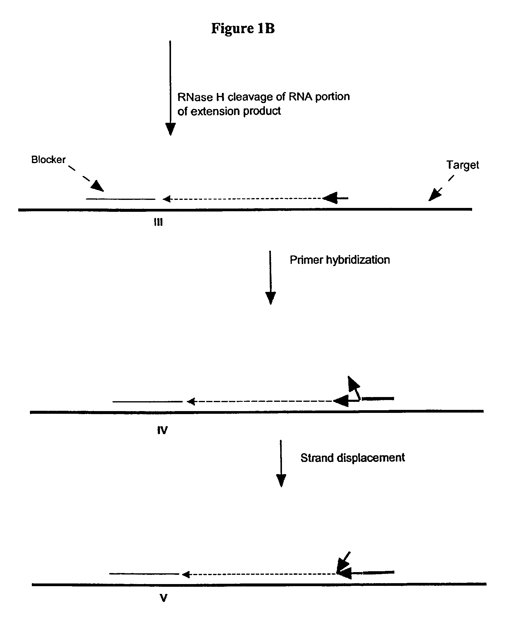Methods and compositions for transcription-based nucleic acid amplification