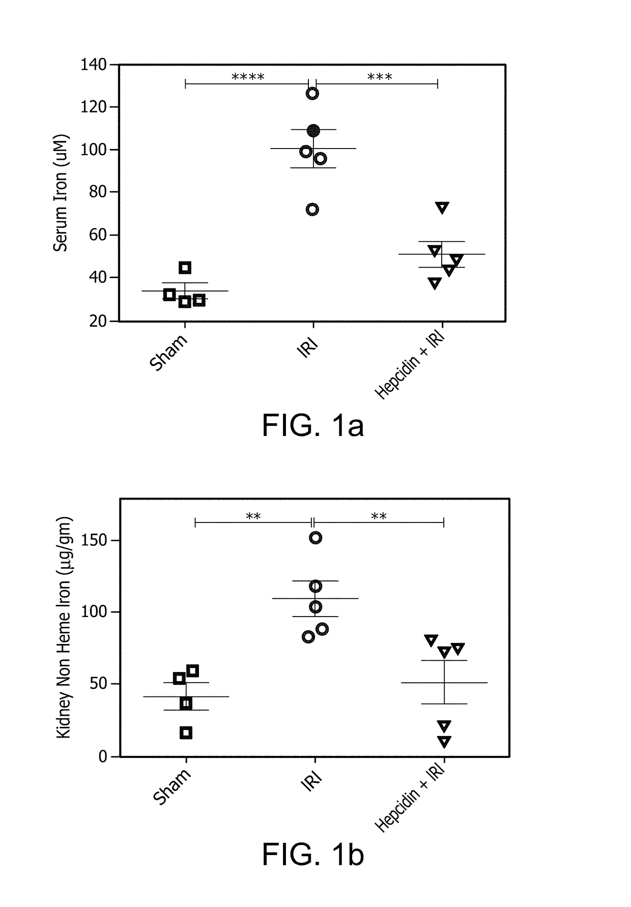 Compositions and methods for protecting the kidney from ischemia reperfusion injury